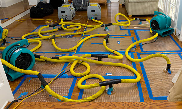 Professional Flood Damage Restoration technician working in Omaha, NE